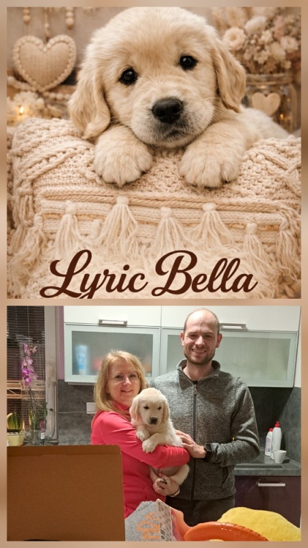 lyric bella hope of heroes