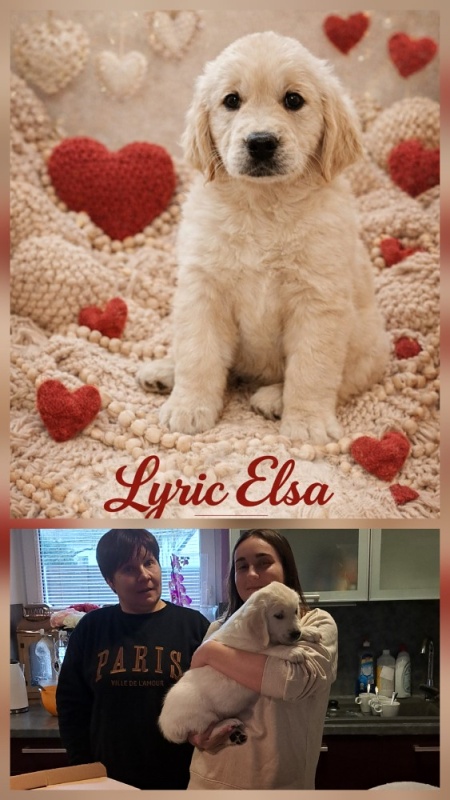 lyric elsa hope of heroes