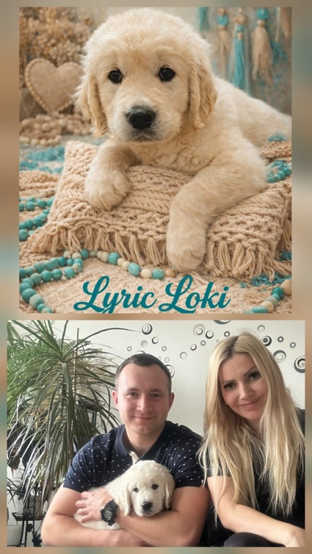 lyric loki hope of heroes
