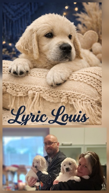 Lyric Louis Hope of Heroes