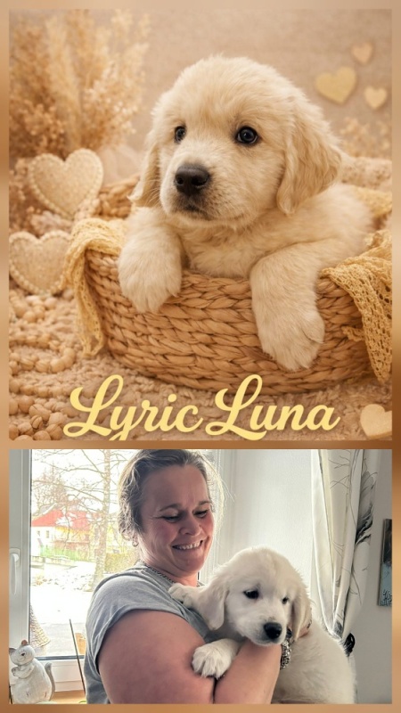 lyric luna hope of heroes