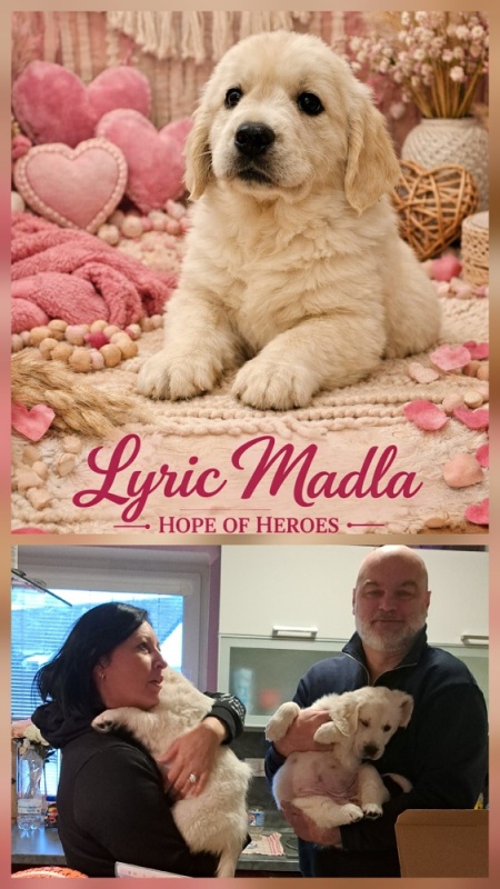 lyric madla hope of heroes